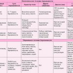 долната част на гърба и долната част на корема боли по време на бременност