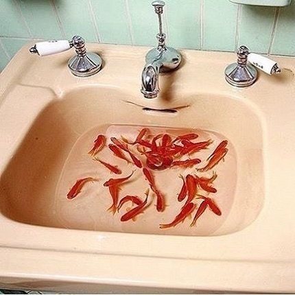 Дънен клапан на мивката: направете си сам разновидности и монтаж