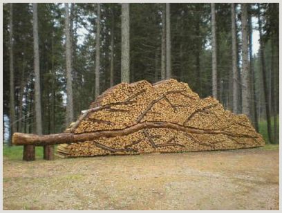 дърва за огрев