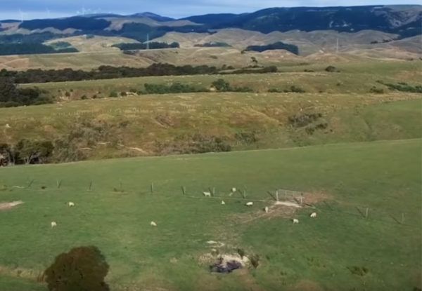 Фермата на отец Джон