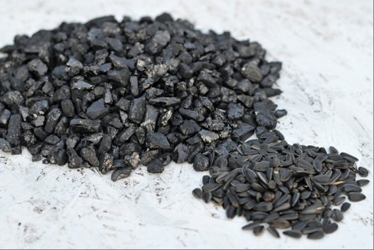 Газови въглища