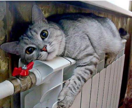 GOST 8690-94 Чугунени отоплителни радиатори. Спецификации GOST 8690-94 Чугунени отоплителни радиатори. Технически условия