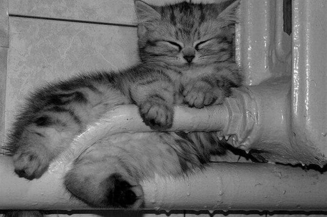 GOST 8690-94 Чугунени отоплителни радиатори. Спецификации GOST 8690-94 Чугунени отоплителни радиатори. Технически условия