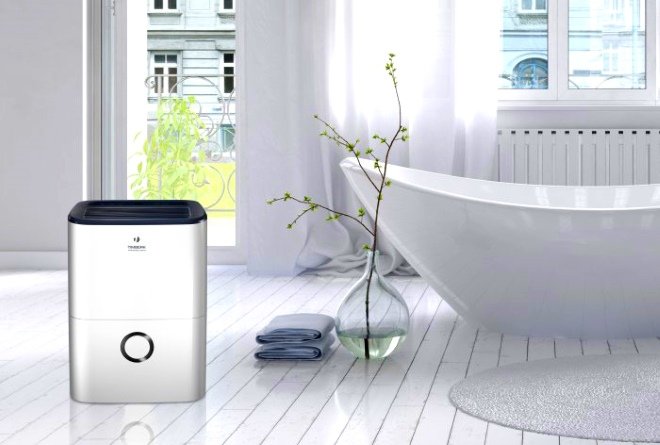 Въздушен йонизатор в интериора на апартамента