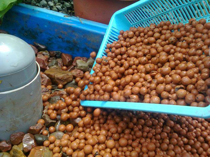 експандирана глина е