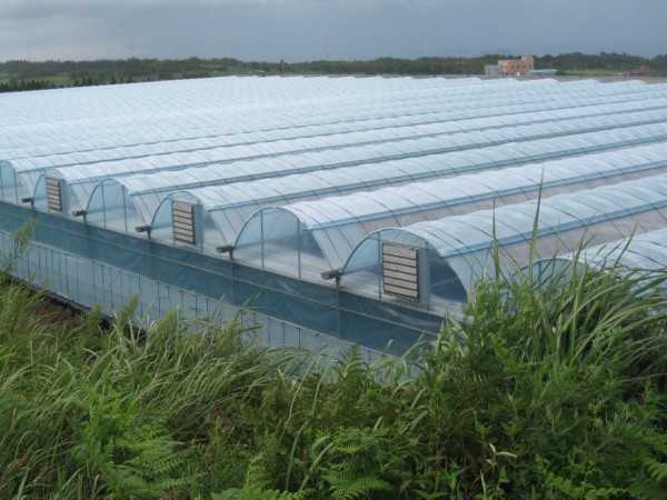 Отопление на индустриални оранжерии с нагревателен кабел