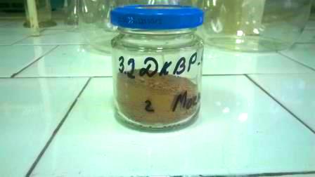 мащабна извадка за изследване