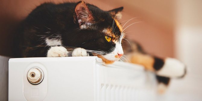 Оптималната височина на биметалните отоплителни радиатори