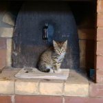 Смята се, че котките се чувстват лоши места и ги избягват. Изглежда одобряват тухлените фурни.