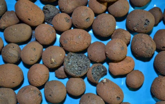 Направи си сам изолация от парна баня отвътре - инструкции и отзиви стъпка по стъпка