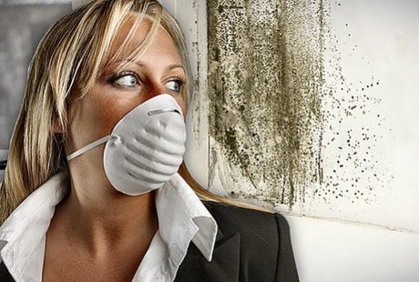 Опасно е да живеете в помещения, изолирани отвътре с минерална вата