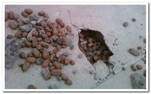 Видове експандирана глина