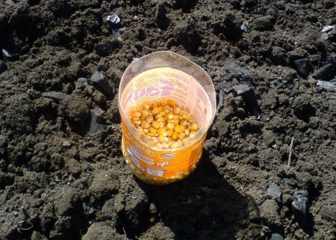 Добавяне на въглища към почвата